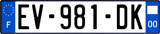 EV-981-DK