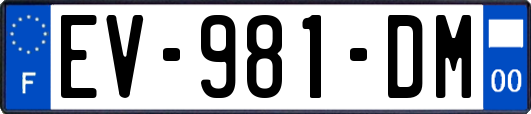 EV-981-DM