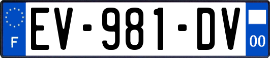 EV-981-DV