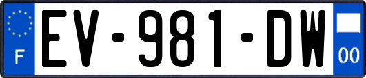 EV-981-DW