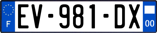 EV-981-DX