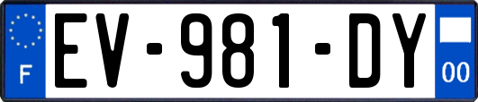 EV-981-DY