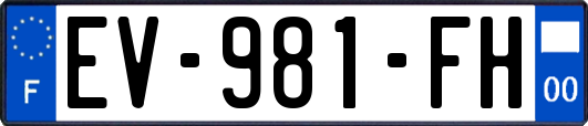 EV-981-FH