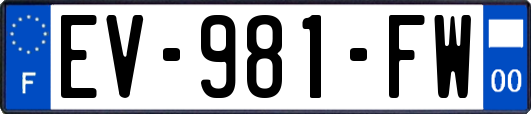 EV-981-FW