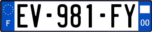 EV-981-FY