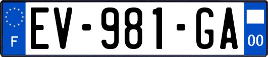 EV-981-GA