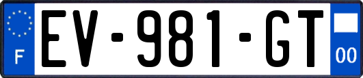 EV-981-GT