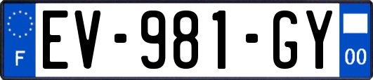 EV-981-GY