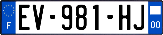 EV-981-HJ
