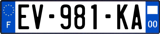 EV-981-KA