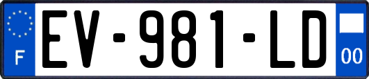 EV-981-LD