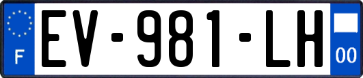 EV-981-LH