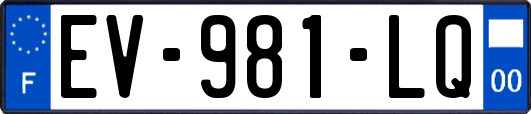 EV-981-LQ