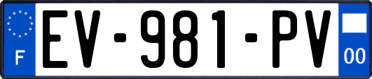 EV-981-PV