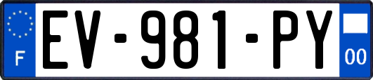 EV-981-PY