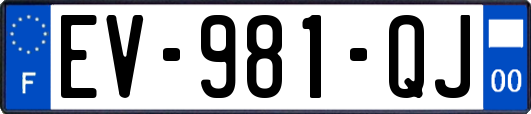 EV-981-QJ
