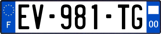 EV-981-TG