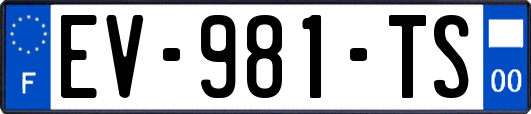EV-981-TS