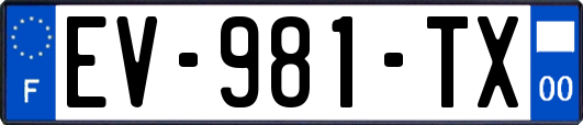 EV-981-TX