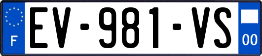 EV-981-VS
