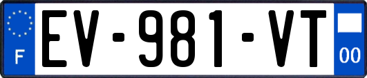 EV-981-VT