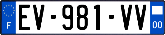 EV-981-VV