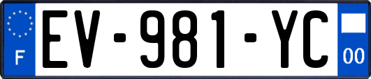 EV-981-YC