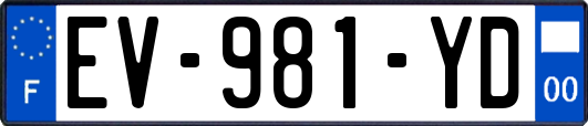EV-981-YD