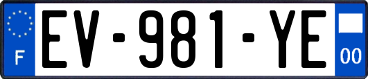 EV-981-YE