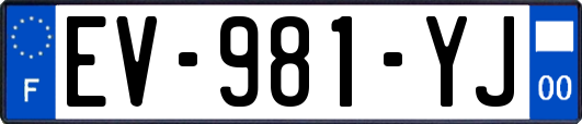 EV-981-YJ