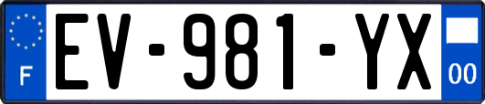 EV-981-YX