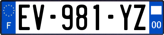 EV-981-YZ