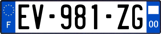 EV-981-ZG