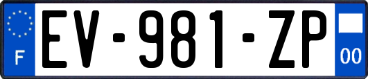 EV-981-ZP