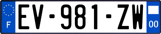 EV-981-ZW