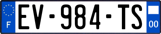 EV-984-TS
