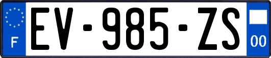 EV-985-ZS