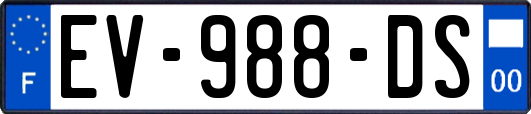 EV-988-DS