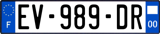 EV-989-DR