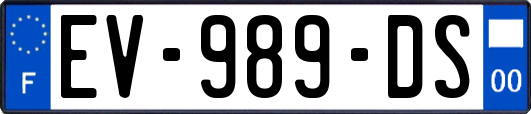 EV-989-DS