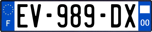 EV-989-DX