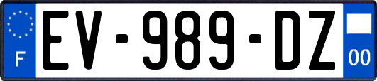 EV-989-DZ