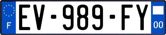 EV-989-FY