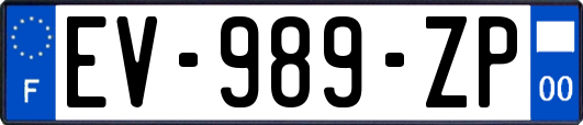 EV-989-ZP