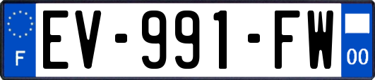 EV-991-FW