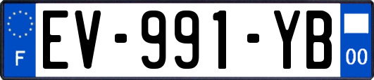 EV-991-YB