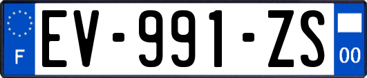 EV-991-ZS