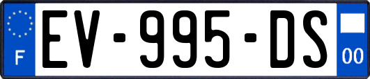 EV-995-DS