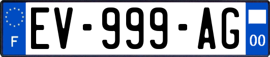 EV-999-AG