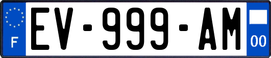 EV-999-AM